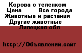 Корова с теленком › Цена ­ 69 - Все города Животные и растения » Другие животные   . Липецкая обл.